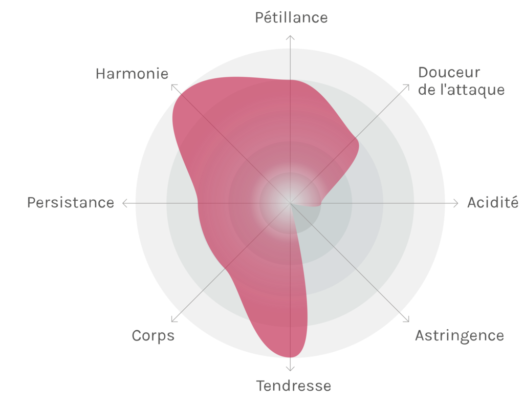 Spinnennetz-Chart